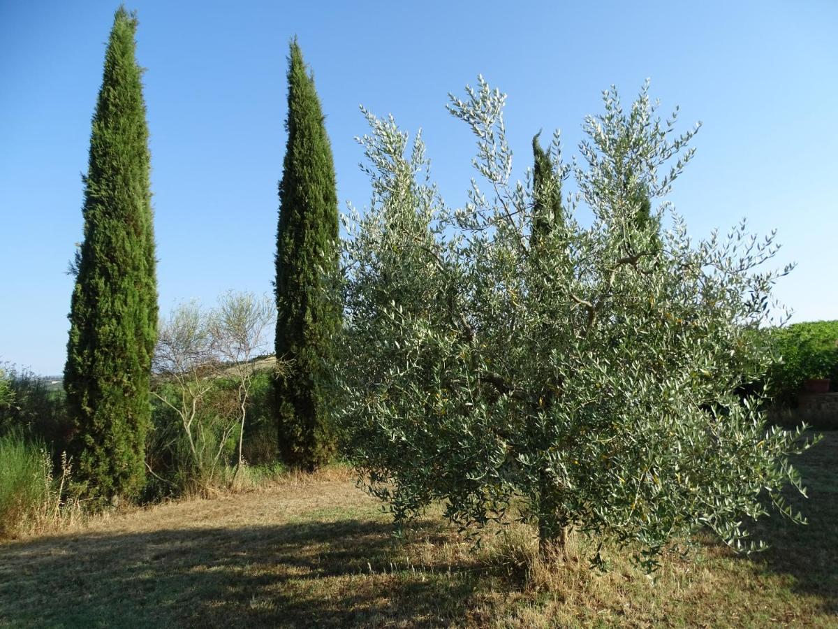 Teruzzi Country House San Gimignano Zewnętrze zdjęcie