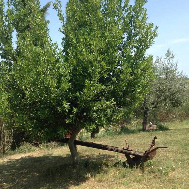 Teruzzi Country House San Gimignano Zewnętrze zdjęcie