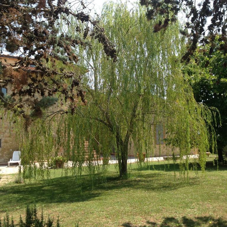 Teruzzi Country House San Gimignano Zewnętrze zdjęcie